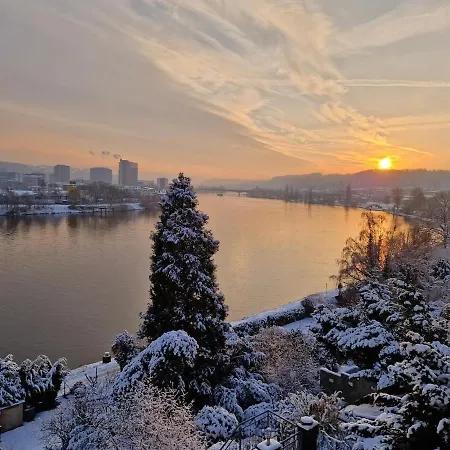 Moselapartment Leni Mit Traumhaftem Ausblick Auf *